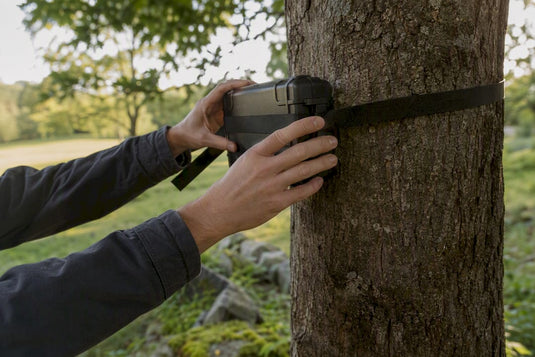 Baumschonend Cache befestigen: So schützt du Rinde und Baum - CacheWerk