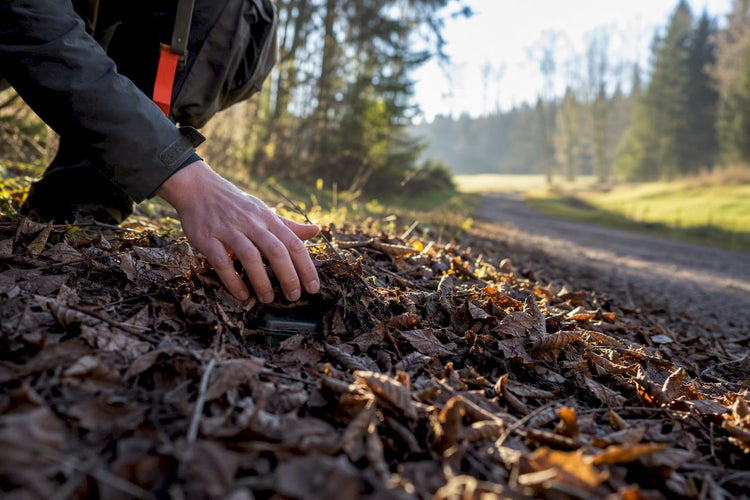 Cache im Naturpark erlaubt: Regeln, die du kennen musst - CacheWerk