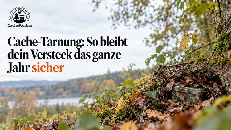 Cache Tarnung Jahreszeiten: So bleibt dein Versteck das ganze Jahr sicher - CacheWerk