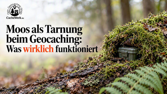 Geocache unter Moos auf einem Baumstamm versteckt