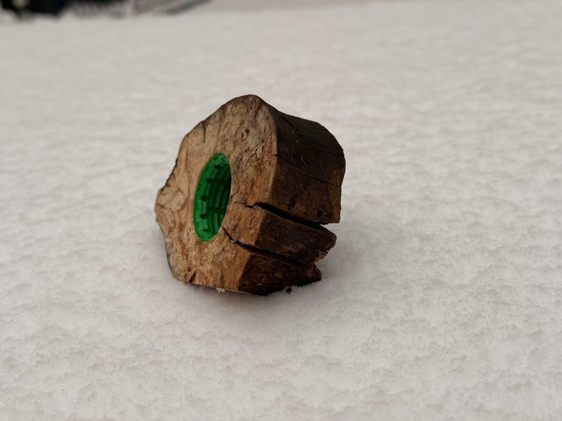 Load image into Gallery viewer, Astscheiben - Versteck – mit integriertem PETling - CacheWerk
