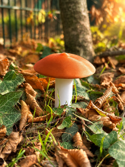 Geocaching Pilz-Versteck – 3D-gedruckt mit Logbuchfach - CacheWerk