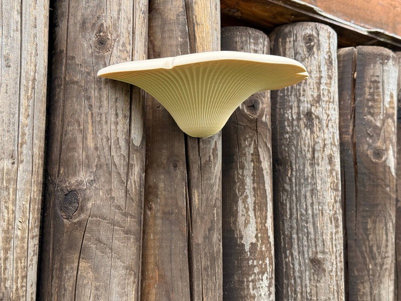 Laden Sie das Bild in Galerie -Viewer, Baumpilz‑Geocache Versteck – realistisches Tarnversteck für Wald &amp; Natur - CacheWerk
