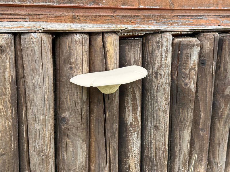 Laden Sie das Bild in Galerie -Viewer, Baumpilz‑Geocache Versteck – realistisches Tarnversteck für Wald &amp; Natur - CacheWerk
