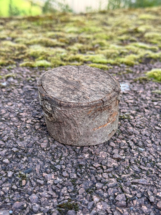 Astscheiben - Versteck – mit integriertem PETling - CacheWerk