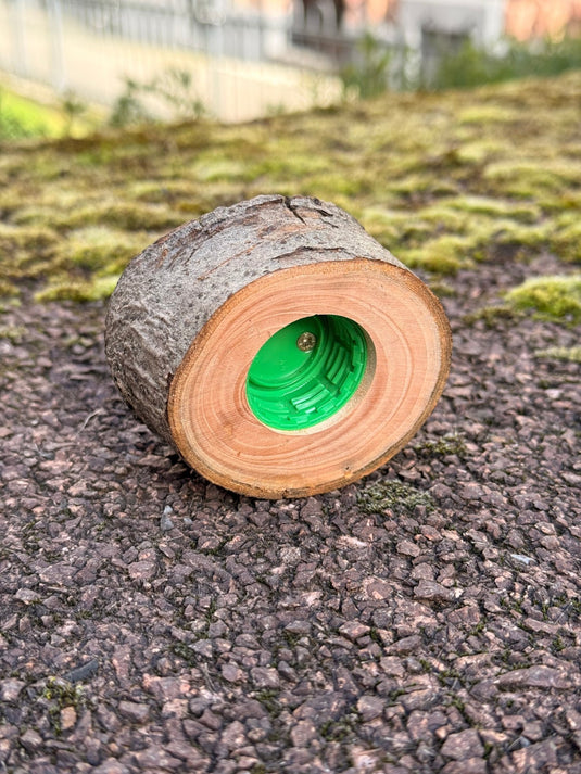 Astscheiben - Versteck – mit integriertem PETling - CacheWerk