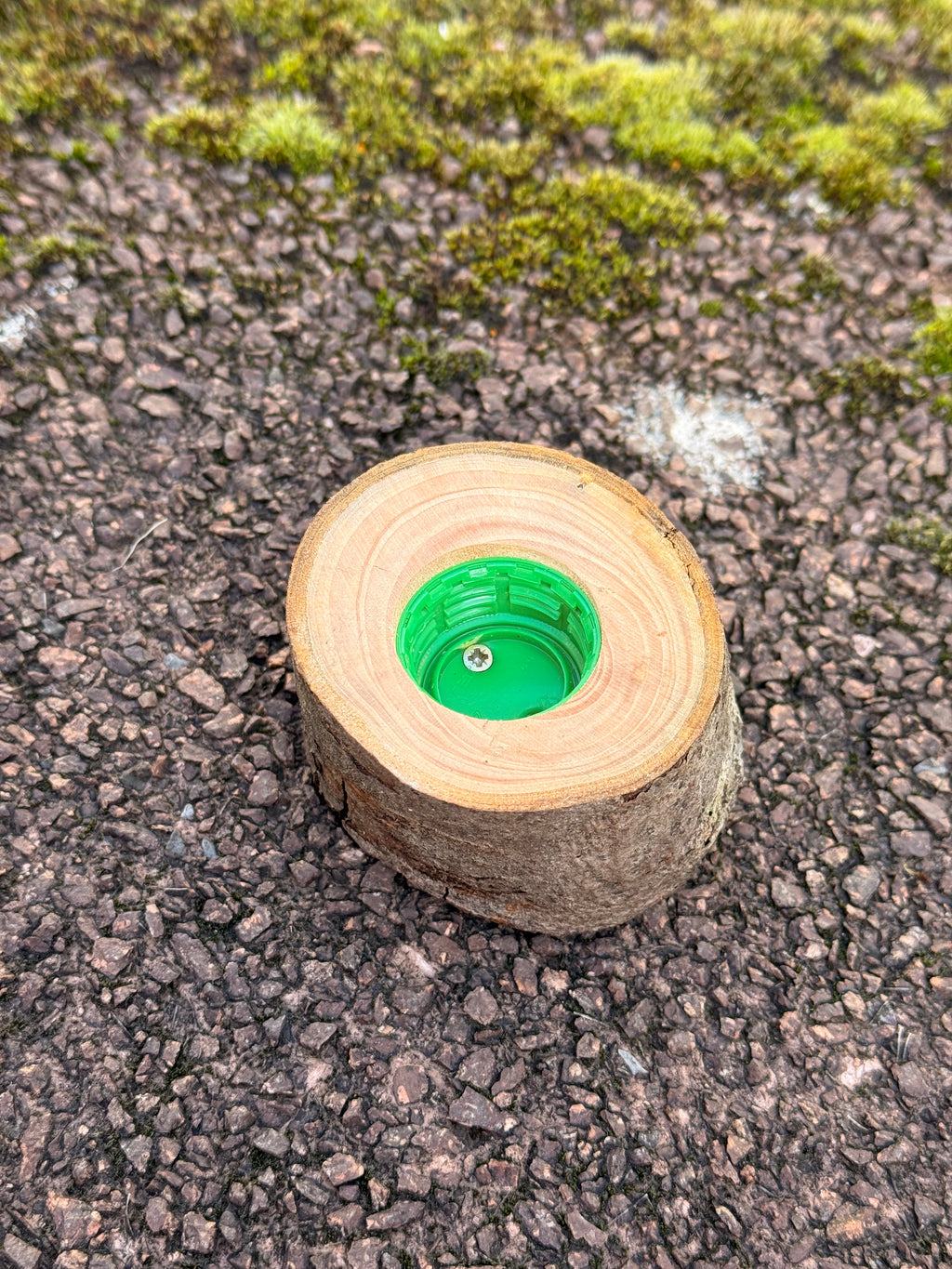 Astscheiben-Versteck – mit integriertem PETling