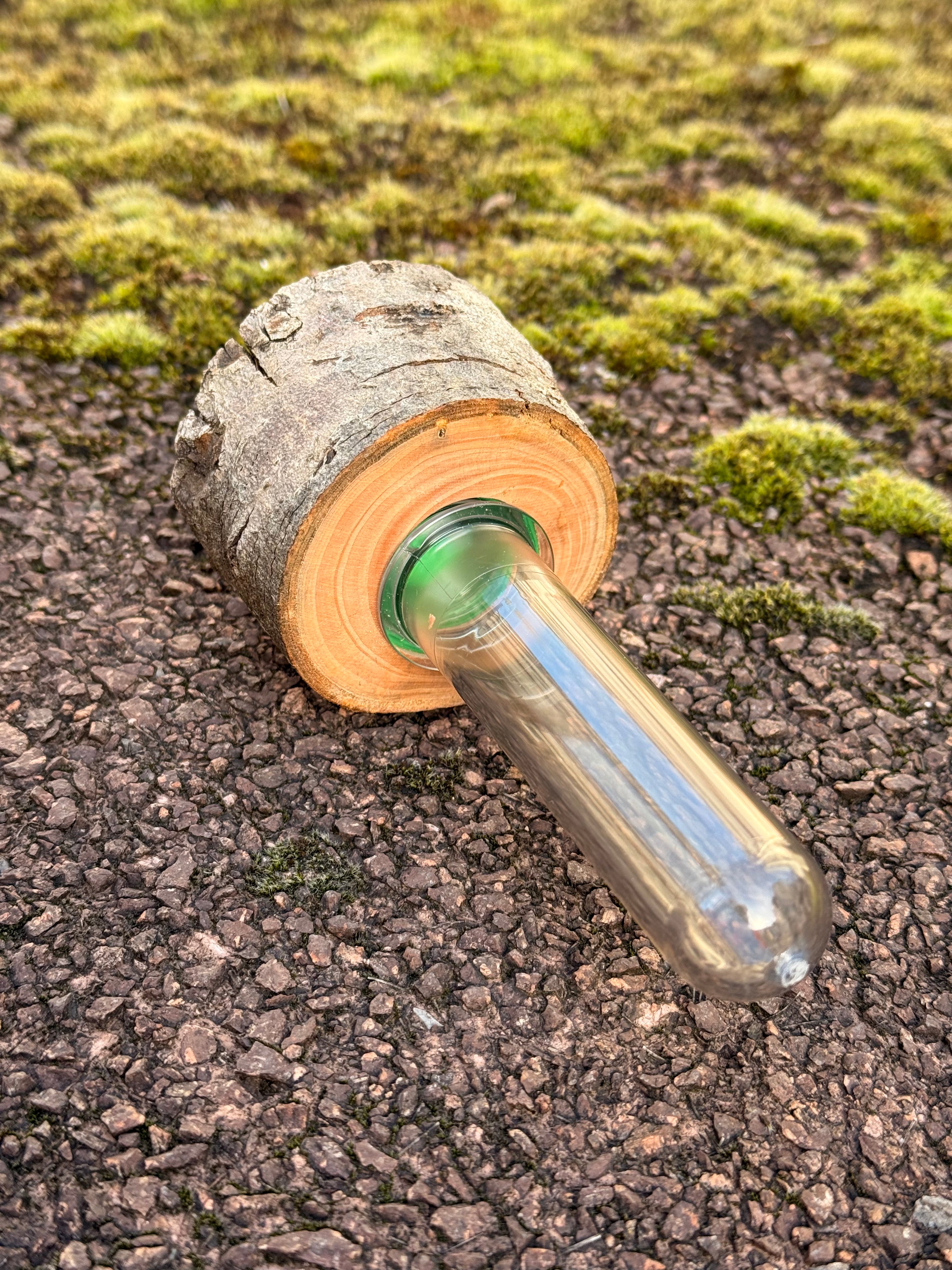 Astscheiben-Versteck – mit integriertem PETling