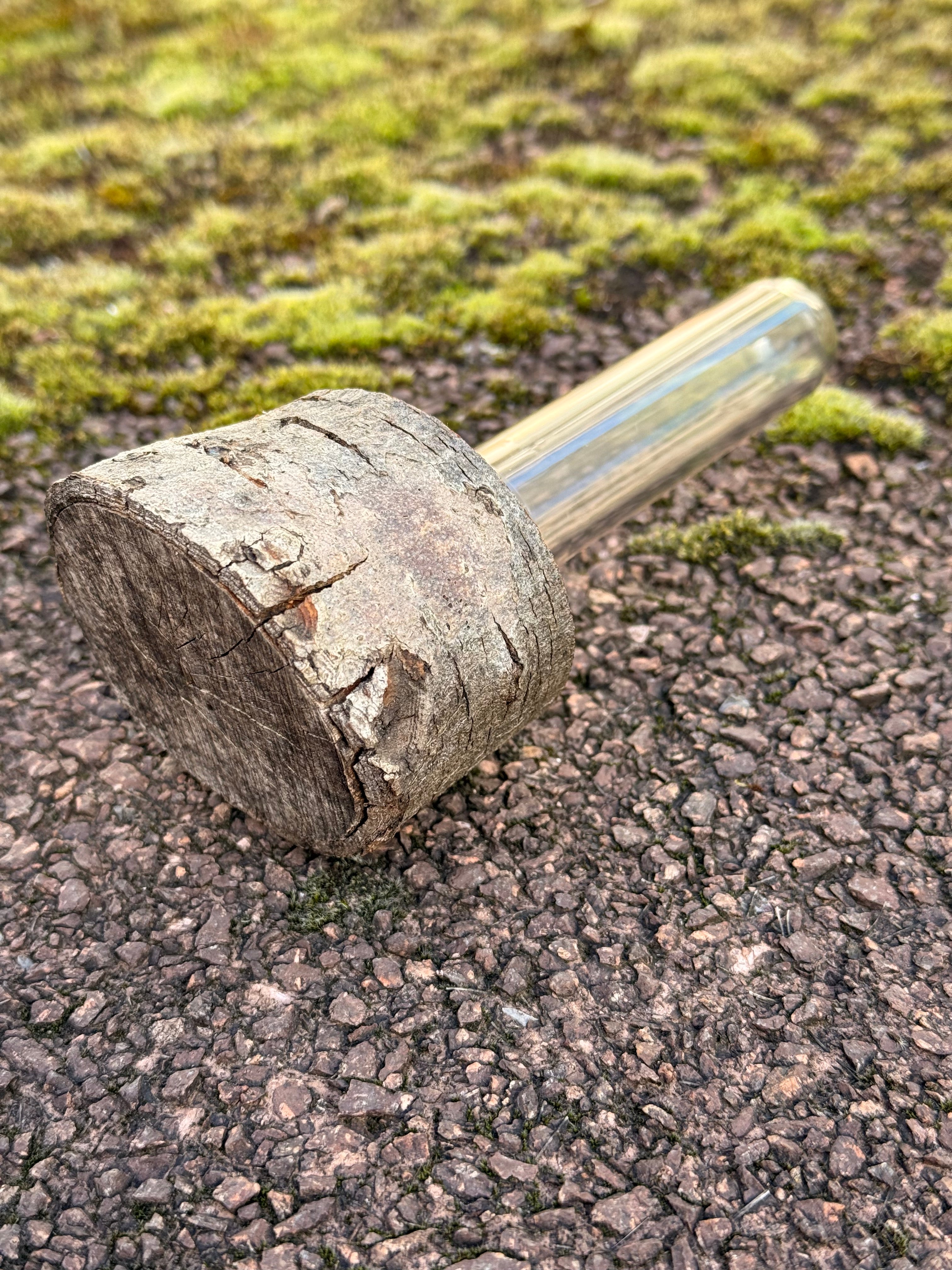 Astscheiben-Versteck – mit integriertem PETling