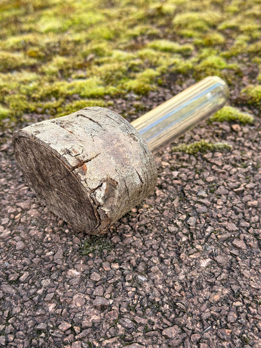 Astscheiben - Versteck – mit integriertem PETling - CacheWerk