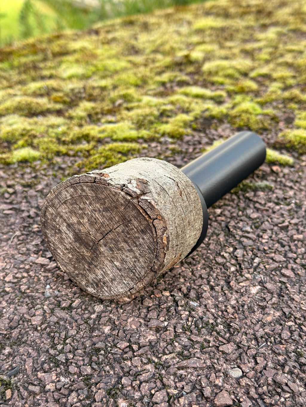 Astscheiben-Versteck – mit integriertem PETling