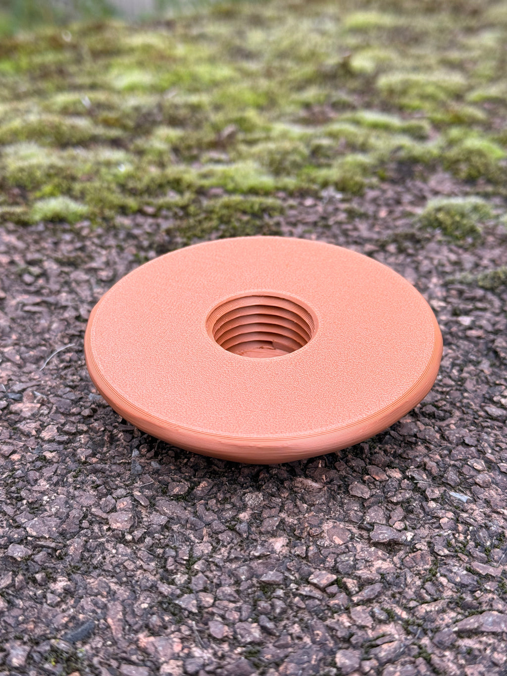 Geocaching Pilz-Versteck – 3D-gedruckt mit Logbuchfach