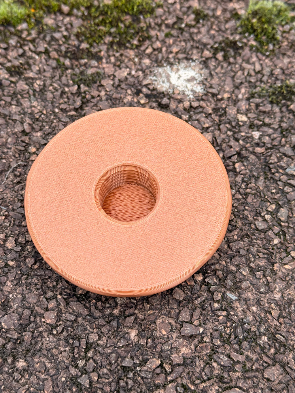 Geocaching Pilz-Versteck – 3D-gedruckt mit Logbuchfach