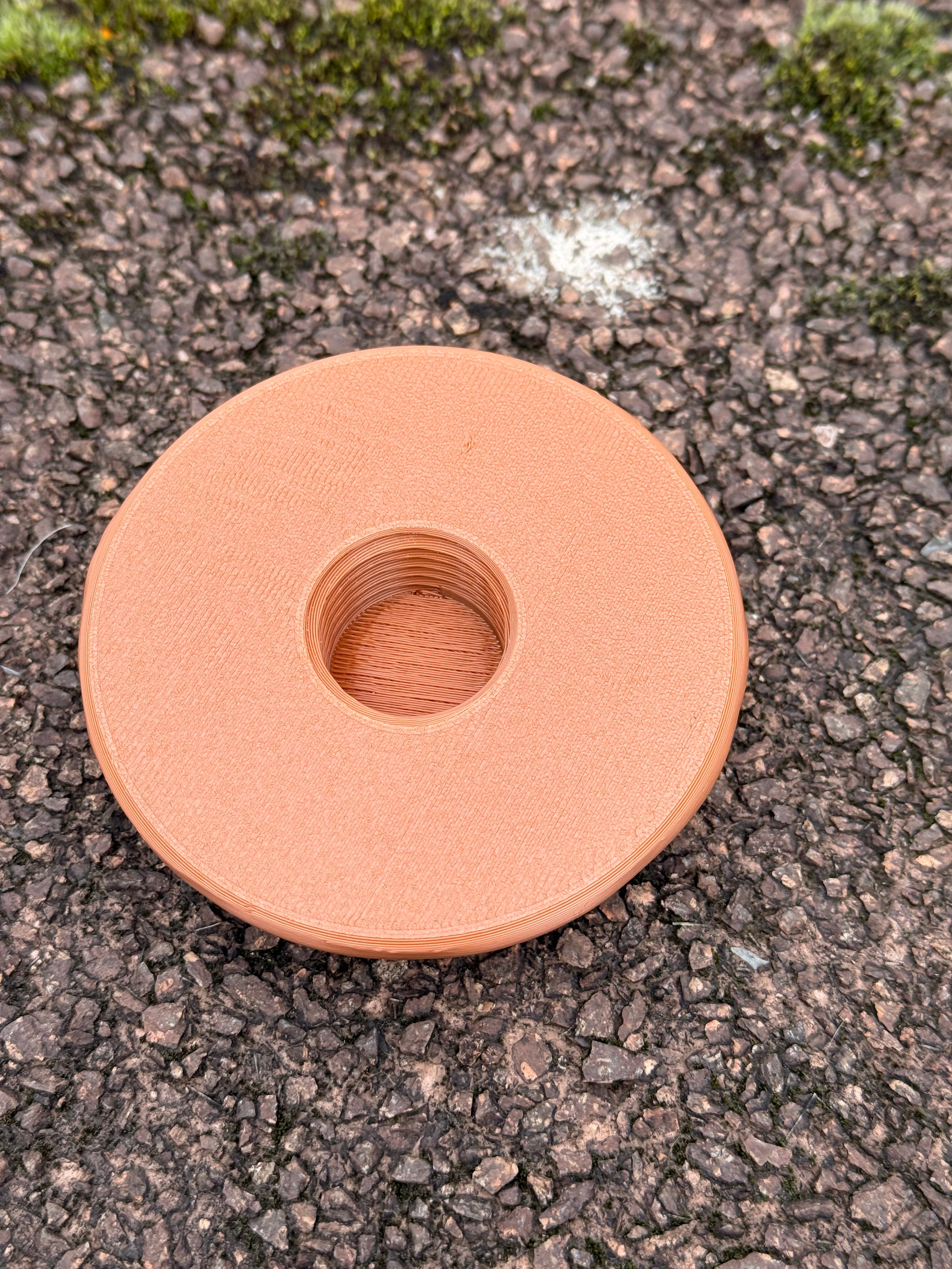 Geocaching Pilz-Versteck – 3D-gedruckt mit Logbuchfach