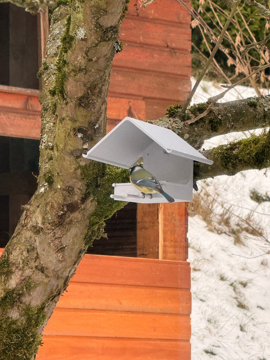🐦 Vogelfutterstation aus nachhaltigem PLA – wetterfest, robust & ideal für Garten und Balkon - CacheWerk