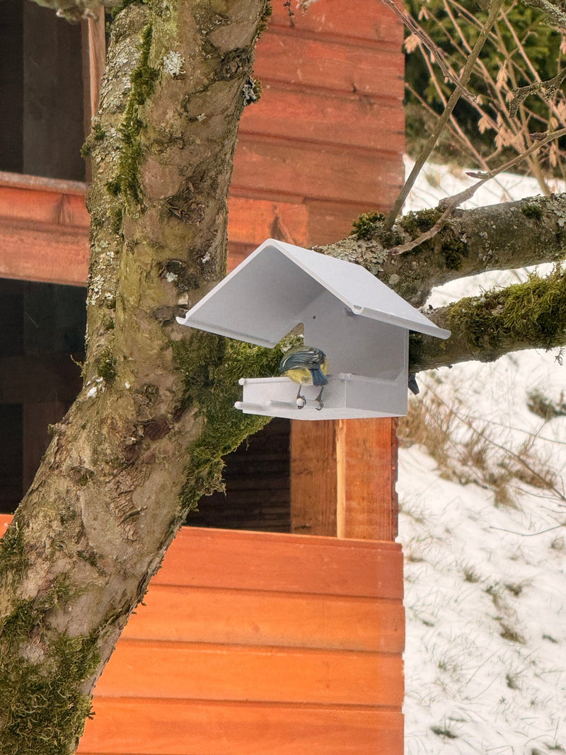 Load image into Gallery viewer, 🐦 Vogelfutterstation aus nachhaltigem PLA – wetterfest, robust &amp; ideal für Garten und Balkon - CacheWerk
