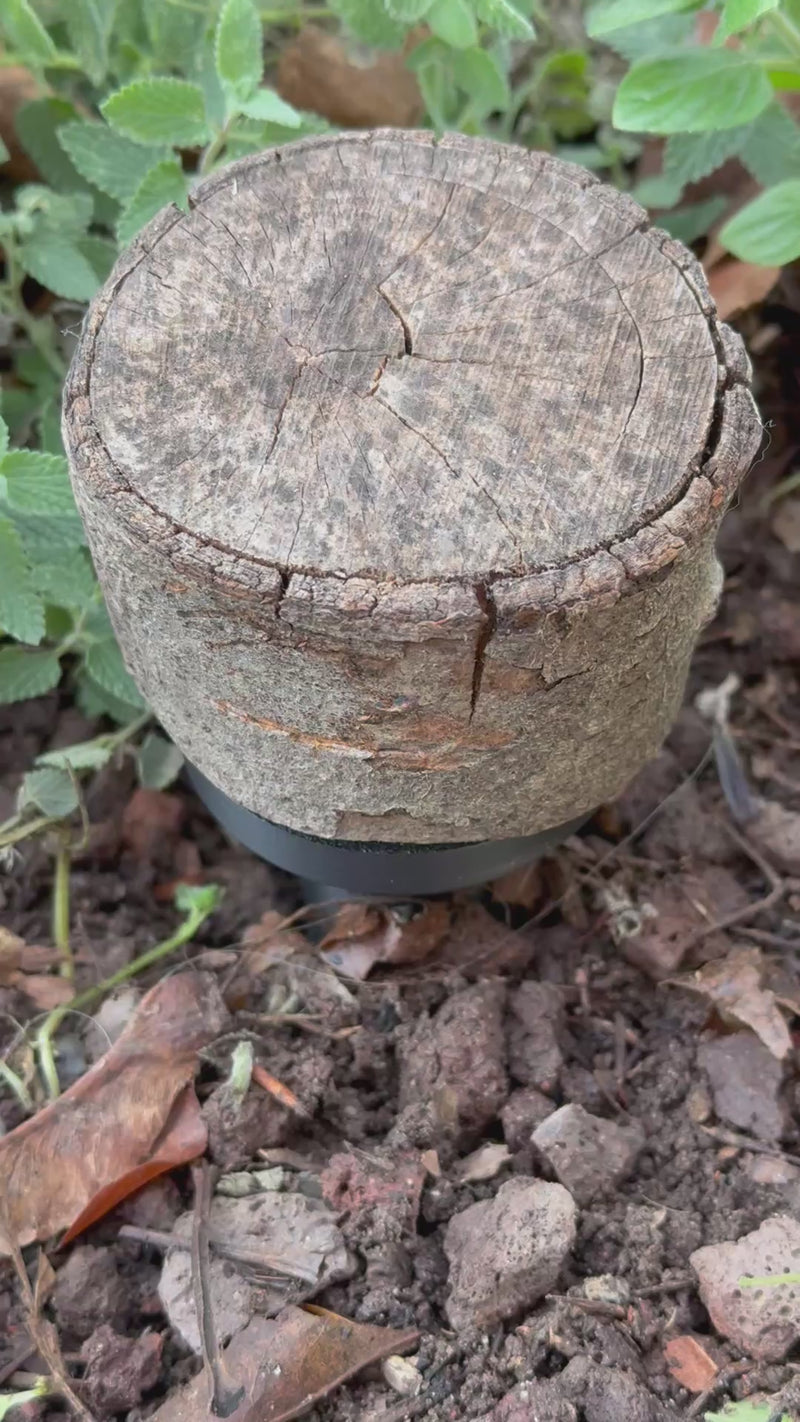 Load and play video in Gallery viewer, Branch disc hiding place – with integrated PETling
